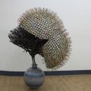 바이교육 이미지