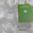 빛고운농원