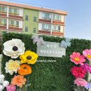 마산초등학교 | 마산 초등학교 졸업식 포토존 대여｜운동장 잔디벽 자이언트플라워 설치 후기