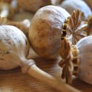 열매약국 이미지