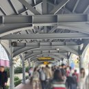 베네시안 호텔 | 마카오 여행! 베네시안호텔 익스클루시브 스위트룸 후기 (공항셔틀 이용방법)