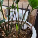 하람한의원 이미지