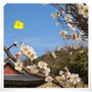 씨유의정부흥선로 이미지