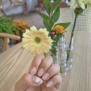 가화뷰티