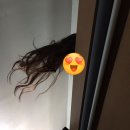 경주게스 이미지