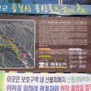 100대 명산 응봉산 鷹峰山 (강원 삼척 · 경북 울진) 산행 이미지