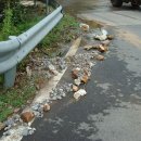 상리마을회관 이미지