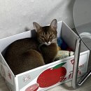 프레드피자 금천점 이미지