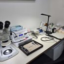 메디컬히어링 이미지