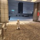 JR디자인 | JR 타워 호텔 닛코 삿포로 숙박 :)조식,대욕장(온천) 솔직후기