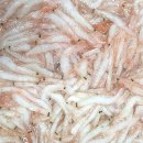 신안추젓,붉새우젓,황석어젓,통멸치젓,멸치액젓,갈치액젓,까나리액젓 이미지