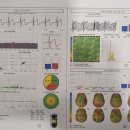 경희 행복나무 한의원 이미지