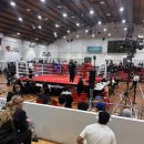 박영길 복싱클럽 이미지