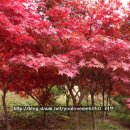 한민농장 이미지