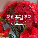라로소아