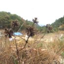 가을농장 이미지