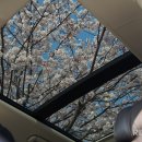 뉴현대자동차정비랜드 이미지