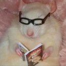 로데오안경(천호점) 이미지