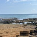 제주의사계 | 제주 사계해안 방문후기