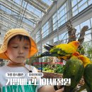 11545-02-36-18 | 서울 근교 아이와 가볼 만한 곳 동식물 테마파크 가평 베고니아새정원 솔직 후기
