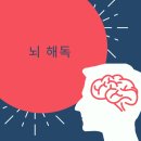 수아테라피