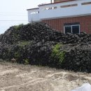 남쪽주유소 이미지