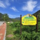 정선아기동물농장 이미지