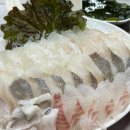 묵호바다협동조합 | 묵호여행 후기 필수 코스 BEST 5 직접 다녀온 후기