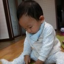 진웅농장 이미지