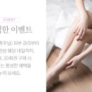 로뎀헤어라인