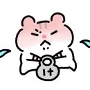 오늘윤슬