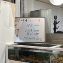 왕대박대게파티 이미지