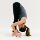 저녁요가 | 요가 96,97회차 후기 (오전 베이직, 저녁 베이직 2번 출석)