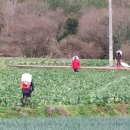 남도진성 이미지