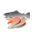 본앤미의원 이미지