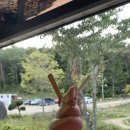 송아목장 이미지