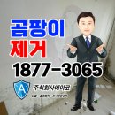 곰팡이제거업체 | 대구곰팡이제거업체 후기 우수한