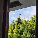 카페2F(Cafe 2F) | 보홀 분위기 좋은 느좋 디저트 카페 이층카페 2F Cafe 방문 후기