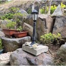 적금해리스 이미지