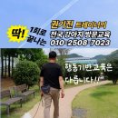 다래실천 | 대구애견훈련소 말티즈 강아지 분리불안 한 번 방문교육으로 좋아진 후기