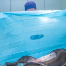 24시 더원 동물병원 이미지