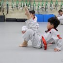 전인태권도교육관 이미지