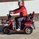 여양농장 | [국내여행/양평] 양평 1박2일 가족여행 (양평하녹, 수향원, 촌캉스, 편백나무 찜질방, 양평 숙소 추천)