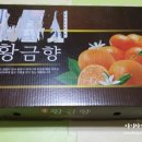 김명선헤어 | 김명선 한라봉 황금향으로 올 겨울 건강하게 보내요~ [ 맘스홀릭 지후맘 ]