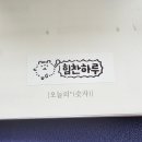 오늘, 정원 | 가계부 쓰기에 매번 실패했다면, 일상정원 오늘의 숫자 내돈내산 후기