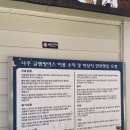 나주 글램핑 어스 이미지