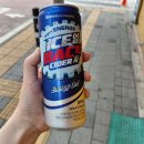 GS25 대신동아점 | 운동 후에 시원한 한 캔! 동아제약 얼박사 시음 후기 / 얼박사=얼음+박카스+사이다