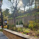 양명초교 이미지