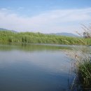 중동소류지 이미지