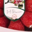 과일청년 이미지